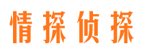 南沙市侦探公司